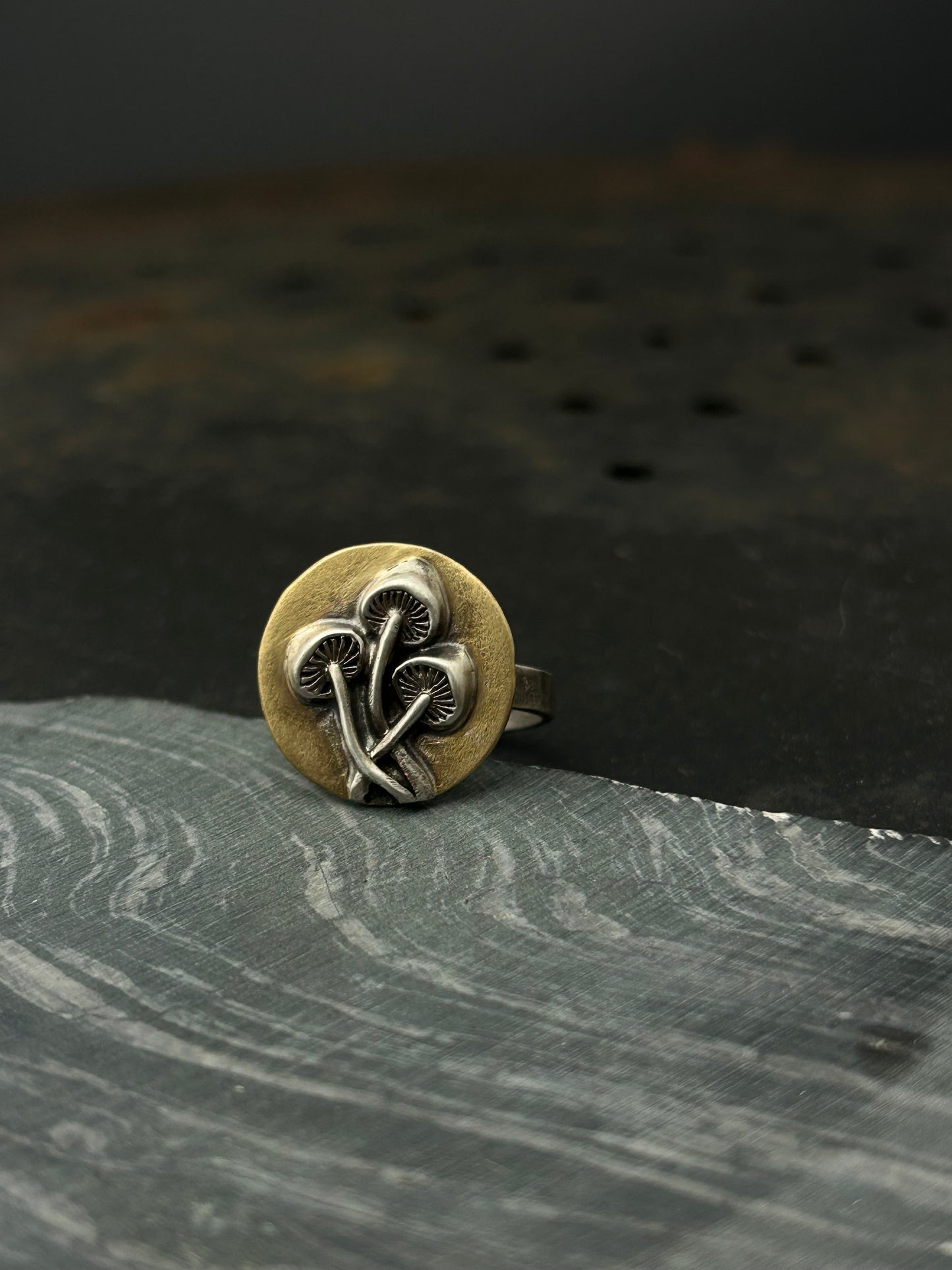 Brass and Silver Mushroom Ring