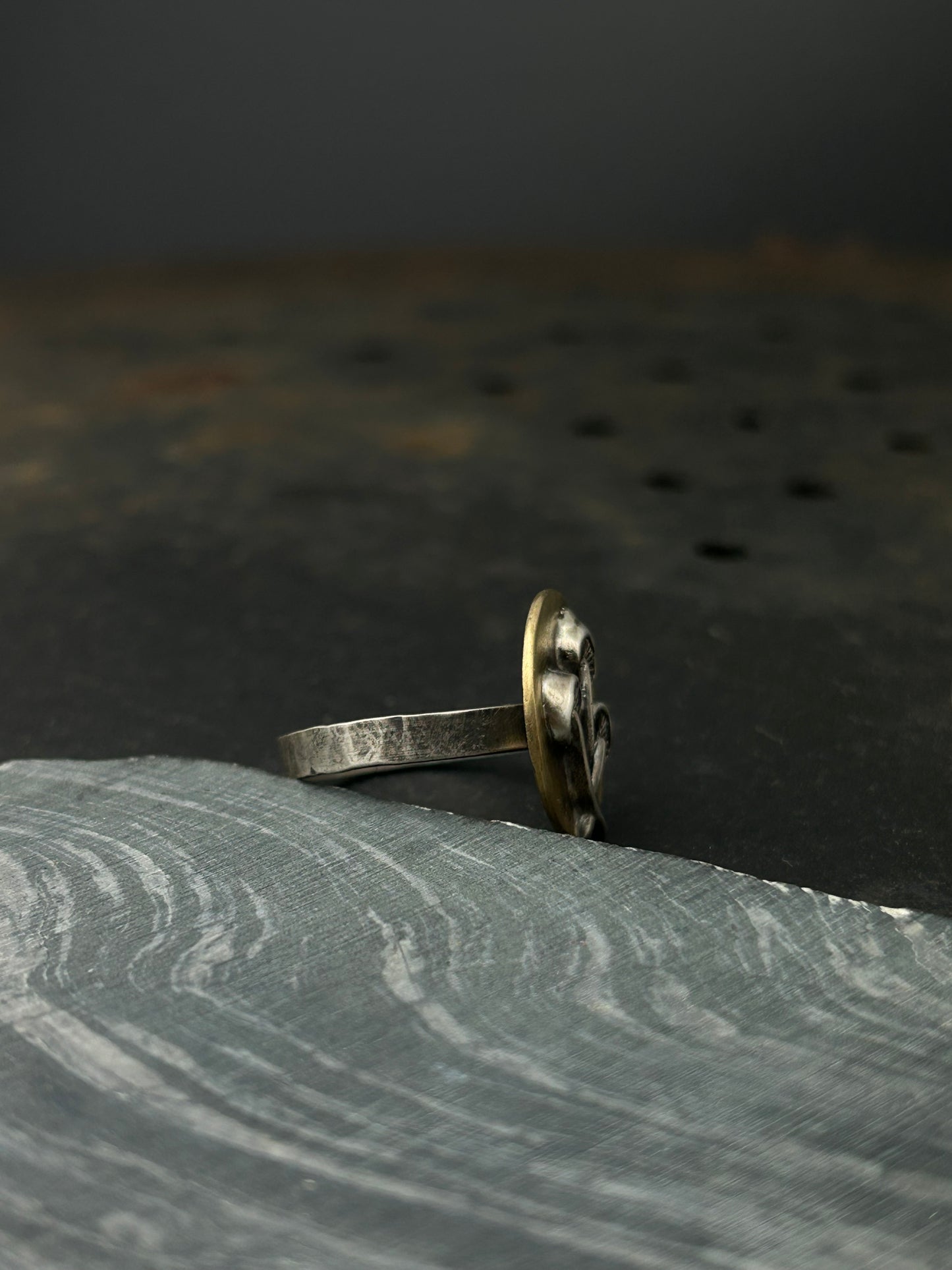 Brass and Silver Mushroom Ring