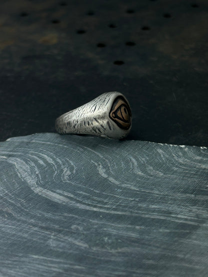 Mixed Metal Visionary Ring