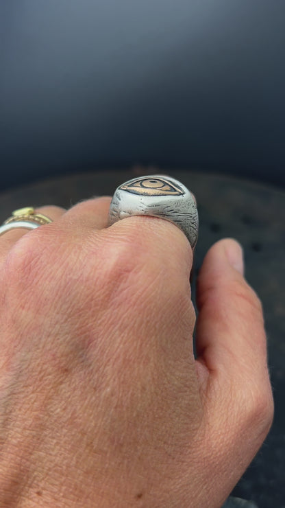 Mixed Metal Visionary Ring