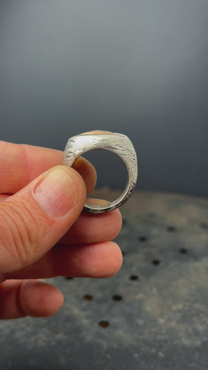 Mixed Metal Visionary Ring